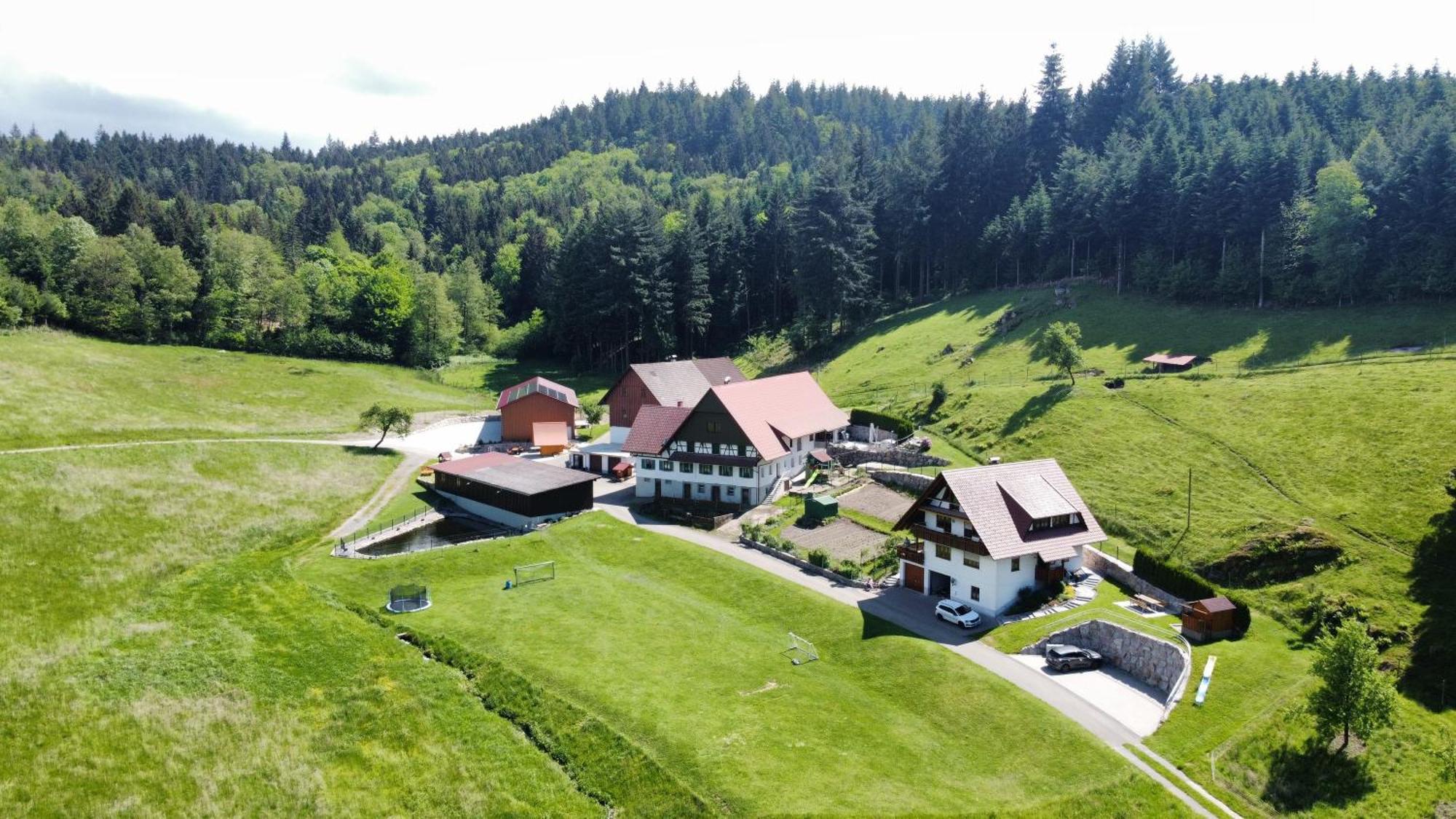 Ferienhof Benz Kappelrodeck Dış mekan fotoğraf